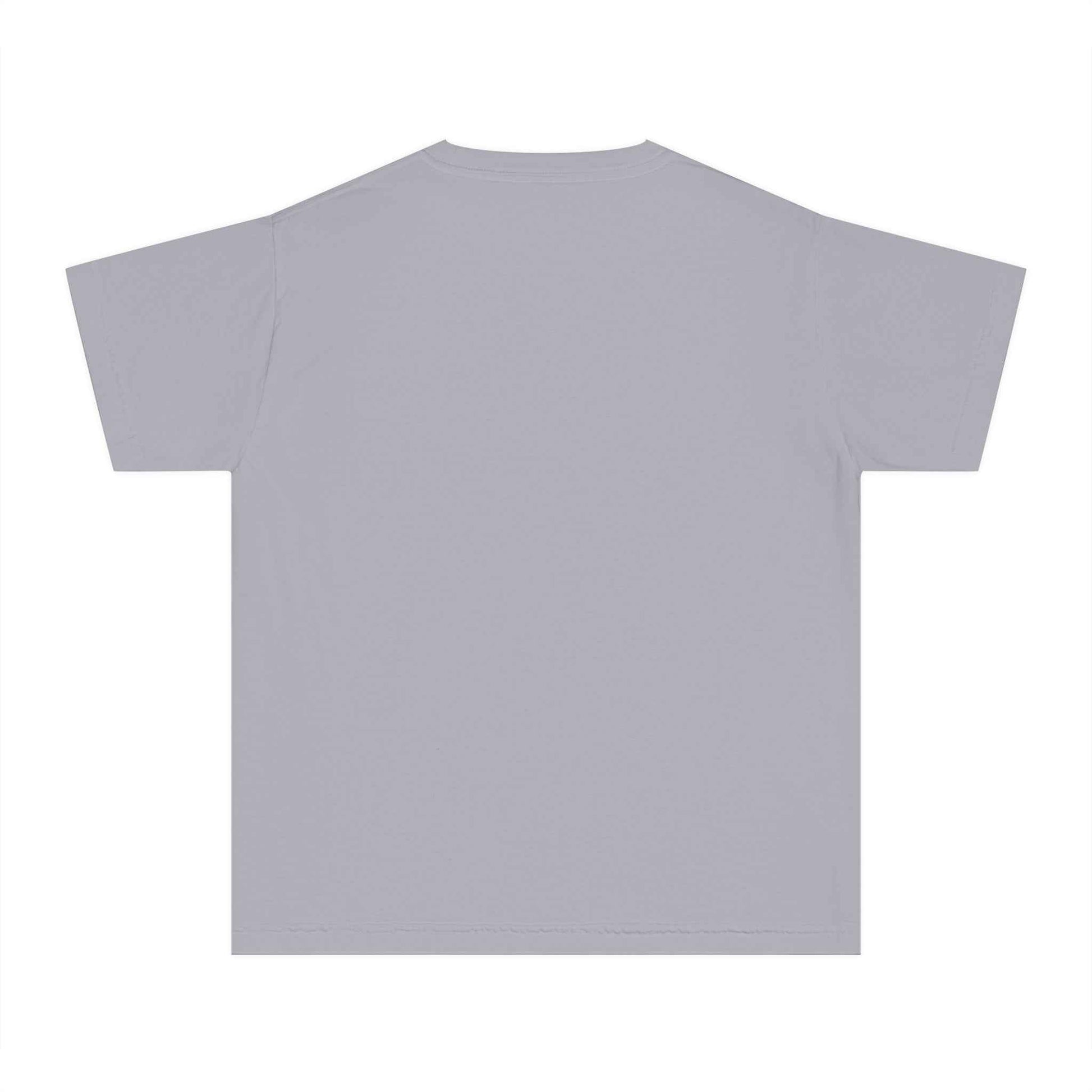 Boys' David and Goliath t-shirt in gray, 100% combed cotton, classic fit.