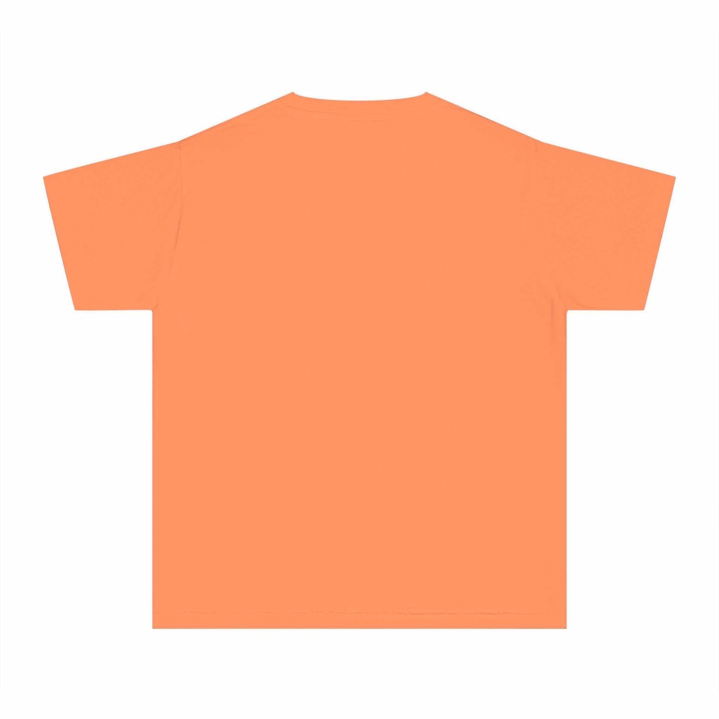 Boys' orange T-shirt featuring a David and Goliath theme; 100% combed ringspun cotton, soft-washed, classic fit.