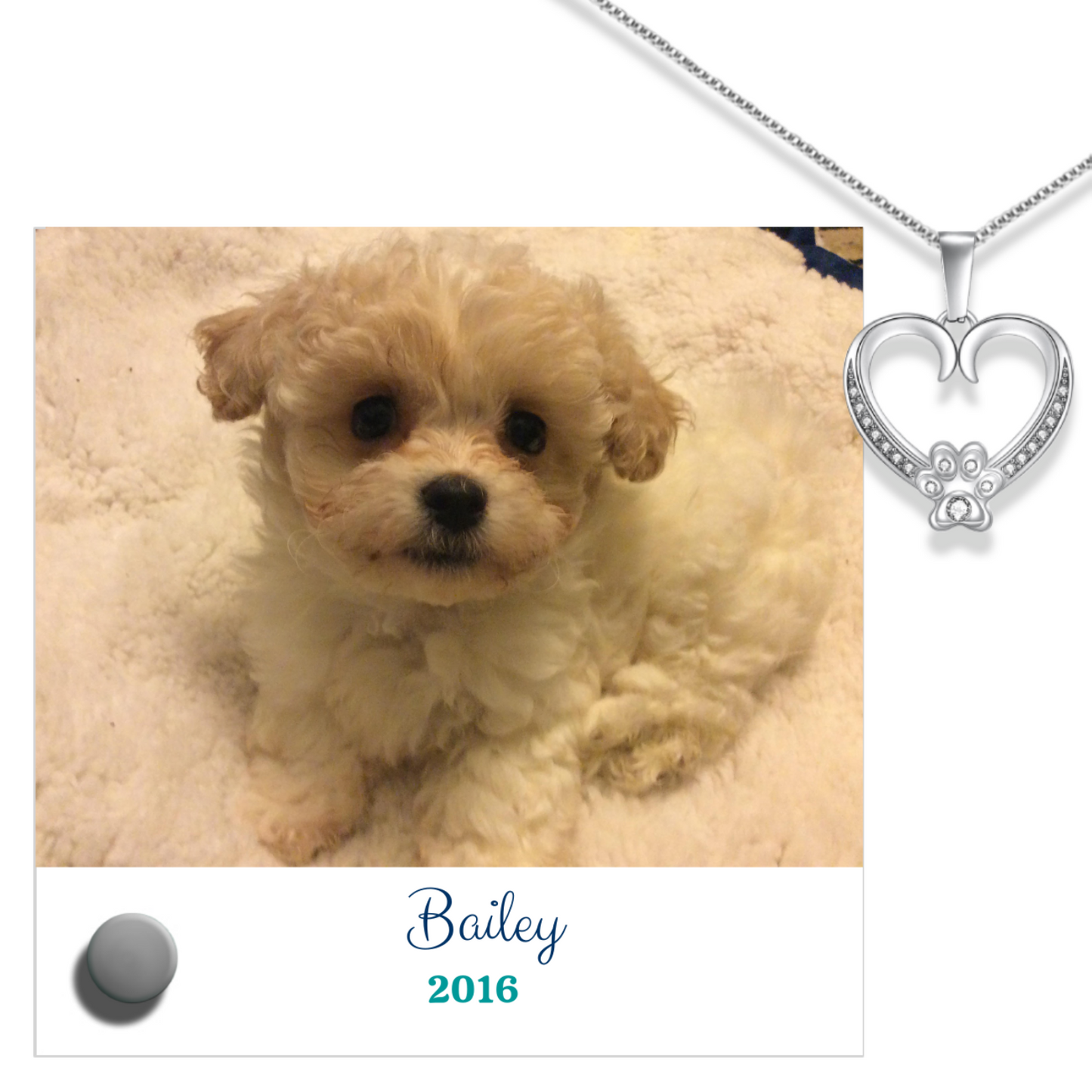 24k white gold paw heart pendant on a necklace with Lumenglass message stand beside a photo of a small dog.