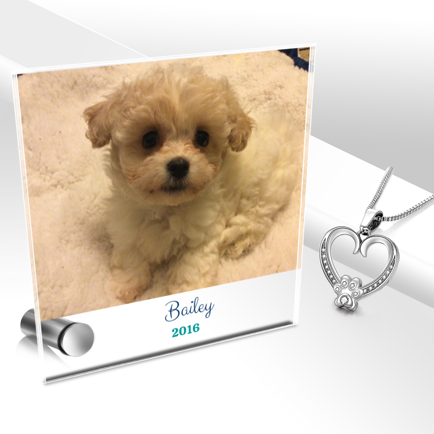 24k white gold paw heart pendant with Lumenglass message stand featuring pet photo.