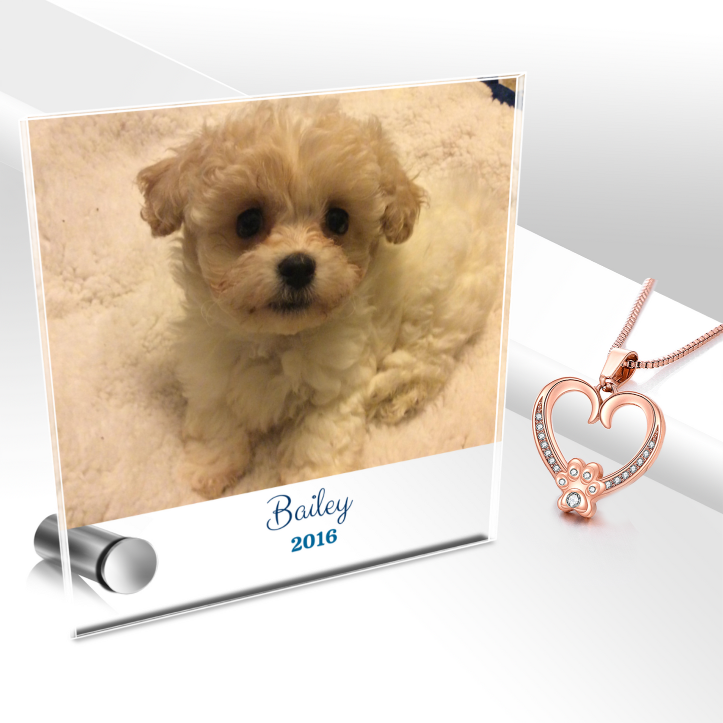 24k white gold necklace with heart and paw pendant, Lumenglass message stand with dog photo.