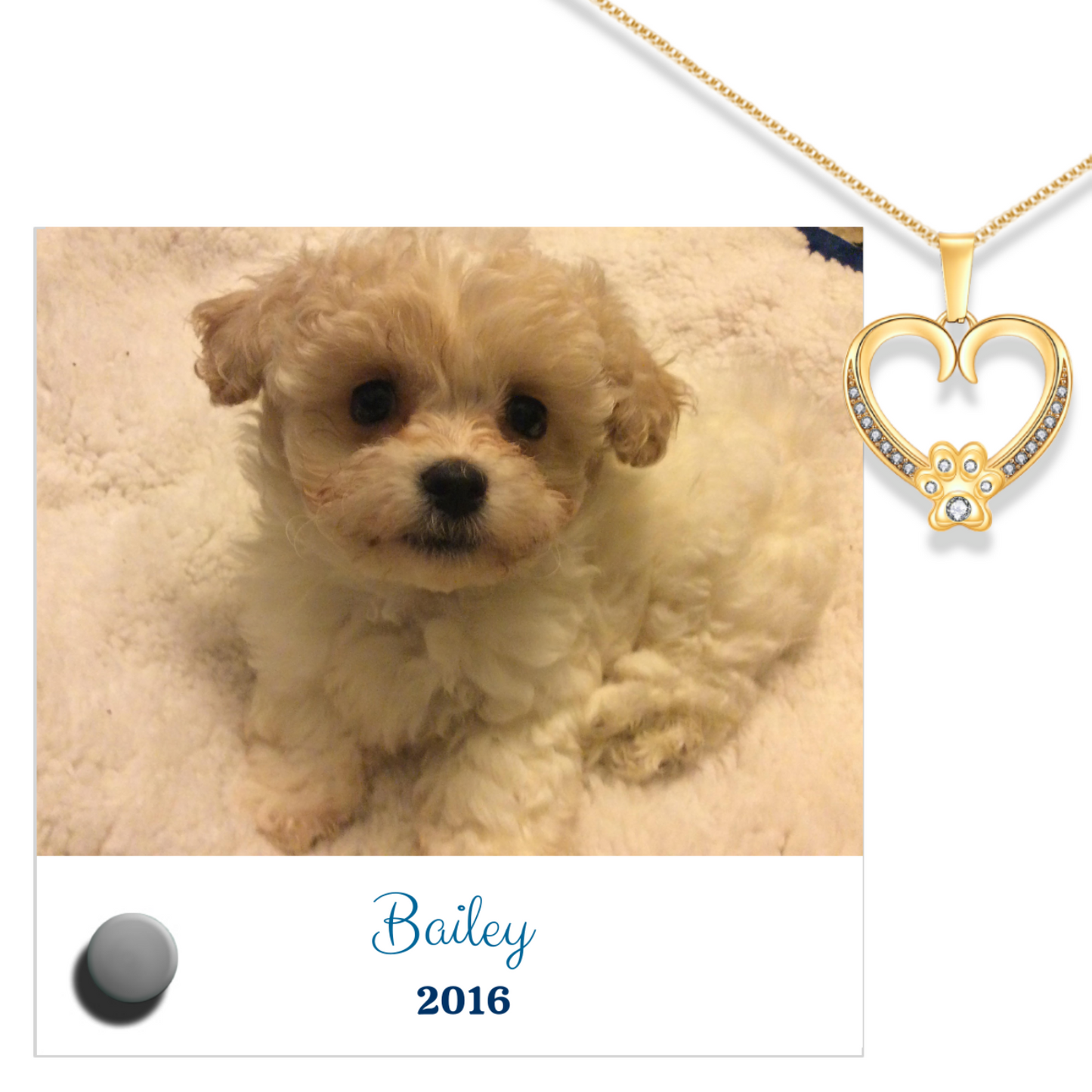 24k white gold paw heart pendant with Lumenglass message stand featuring a cute puppy image.