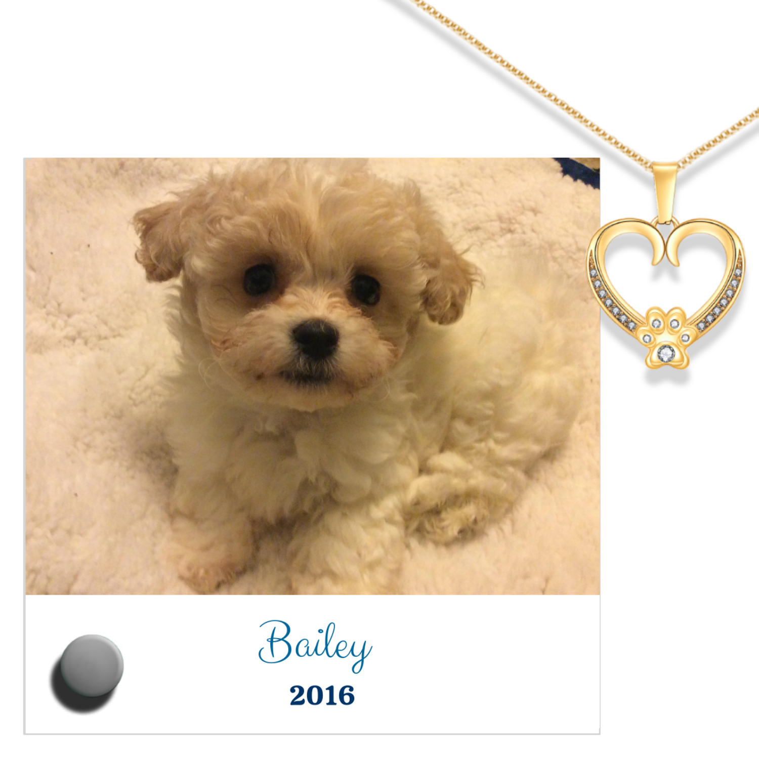 24k white gold paw heart pendant with Lumenglass message stand featuring a cute puppy image.