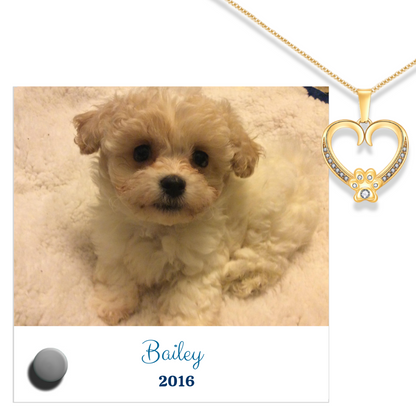 24k white gold paw heart pendant with Lumenglass message stand featuring a cute puppy image.